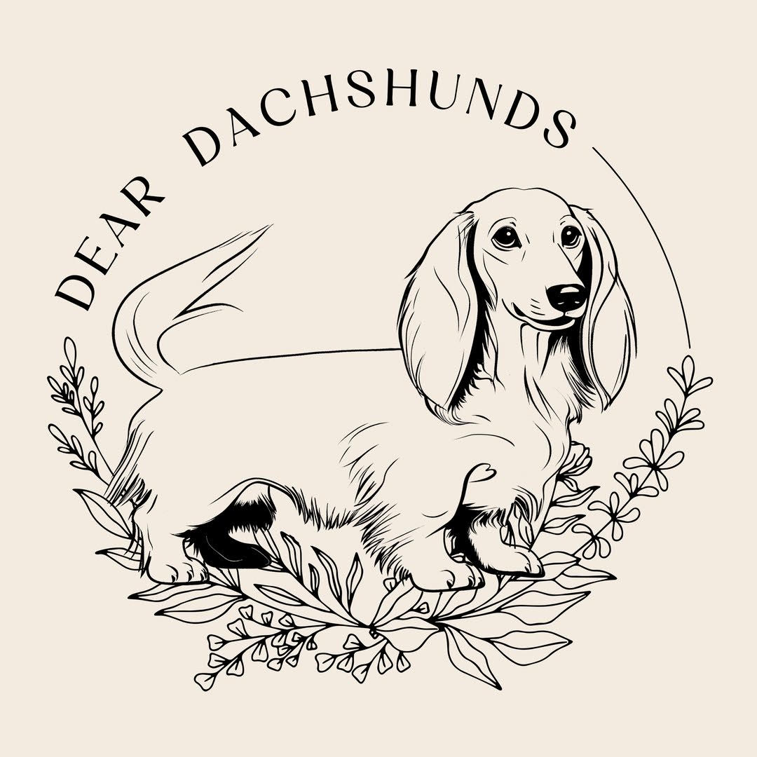 deardachshundpuppies.com